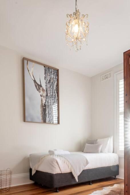 Historic Beauty In The Cbd! Parking And Wifi Appartamento Launceston Esterno foto